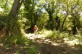 20220709-130806-[PAUxl]